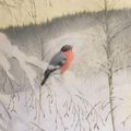 Bouvreuil sur une branche en hiver - Theodor