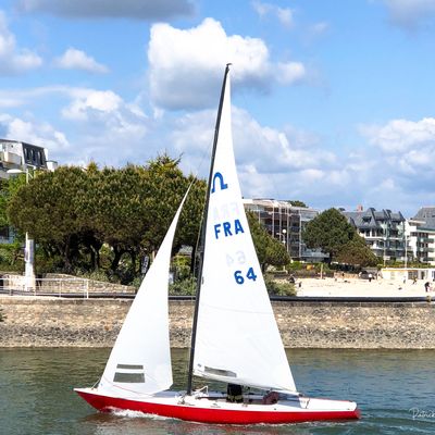 Retour de régates