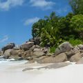 De retour.... des Seychelles !