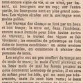 1880 début Avril :Les galipes des bas sont gelées, c'est "officiel" !