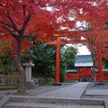 Erebos Momiji Tour 23 - Arashiyama (part 2)