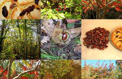 DIMANCHE en Tarn et Garonne, à l'automne.