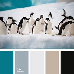 Palette couleurs hiver 2017