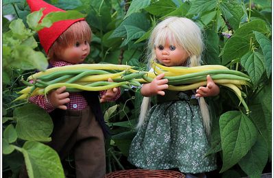 Les lutins des bois - Et si on disait....