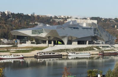 Quand le musée des Confluences souffle sa dixième bougie