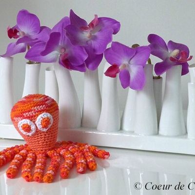 Aidez-nous à réaliser des petites pieuvres !!!