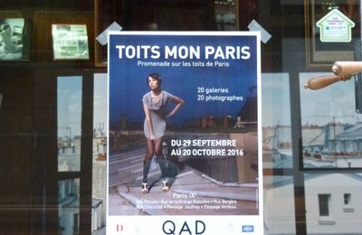 Toits mon Paris