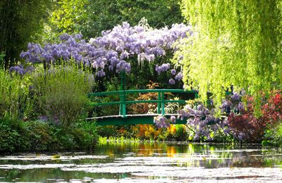 Le jardin de Claude Monet à Giverny :