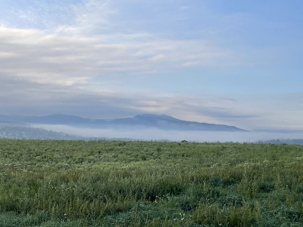 Vendredi 03 octobre 2025 sur un des balcons de ma ville  , en date du 29 sept 2025 et le vent était très froid , ça réveille de bon matin ... Je vous laisse contempler mon diaporama 