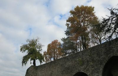 Choses vues à Saint-Lô (Manche) le 25 octobre 2014 (1)
