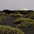 Jameos del Aqua, César Manrique, extérieur 