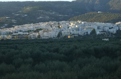 Séjour dans les Pouilles... Direction le Gargano...