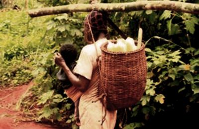 Femmes rurales et sécurité alimentaire