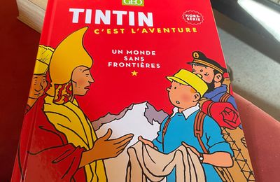 Tintin, c'est l'aventure, hors série BD