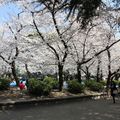 鶴舞公園 : Tsuruma Park