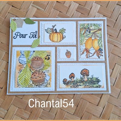 Happy BAL de novembre 2025