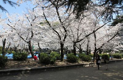鶴舞公園 : Tsuruma Park