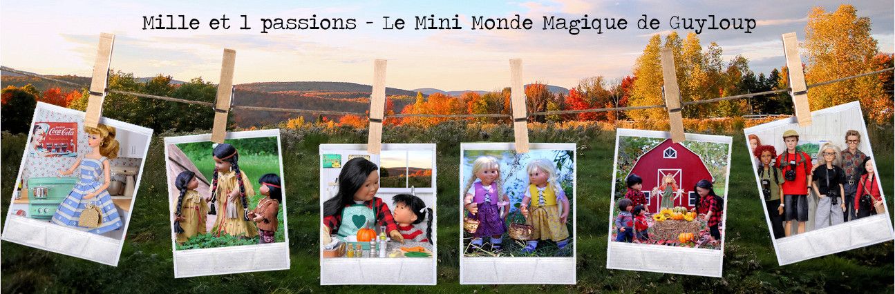 Mille et 1 passions, mon Mini Monde Magique