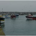 Saint Quay Portrieux, retour de pêche