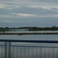 Le Lac du Der, paradis des oiseaux