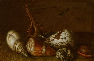 Balthasar van der Ast, Shells on a Table