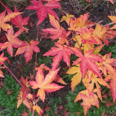 Photos du Dimanche !