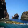 La Corse, un jardin aux senteurs préservées…(Suite 3)