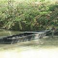 Les bords du &quot;Loiret&quot; à Olivet - 45 Une