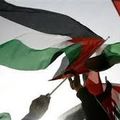 Nos vœux de solidarité à nos frères & sœurs Palestiniens, et à ceux qui les soutiennent