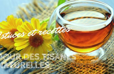 Des conseils pour se faire ses propres tisanes naturelles