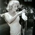Marilyn - The New York Years