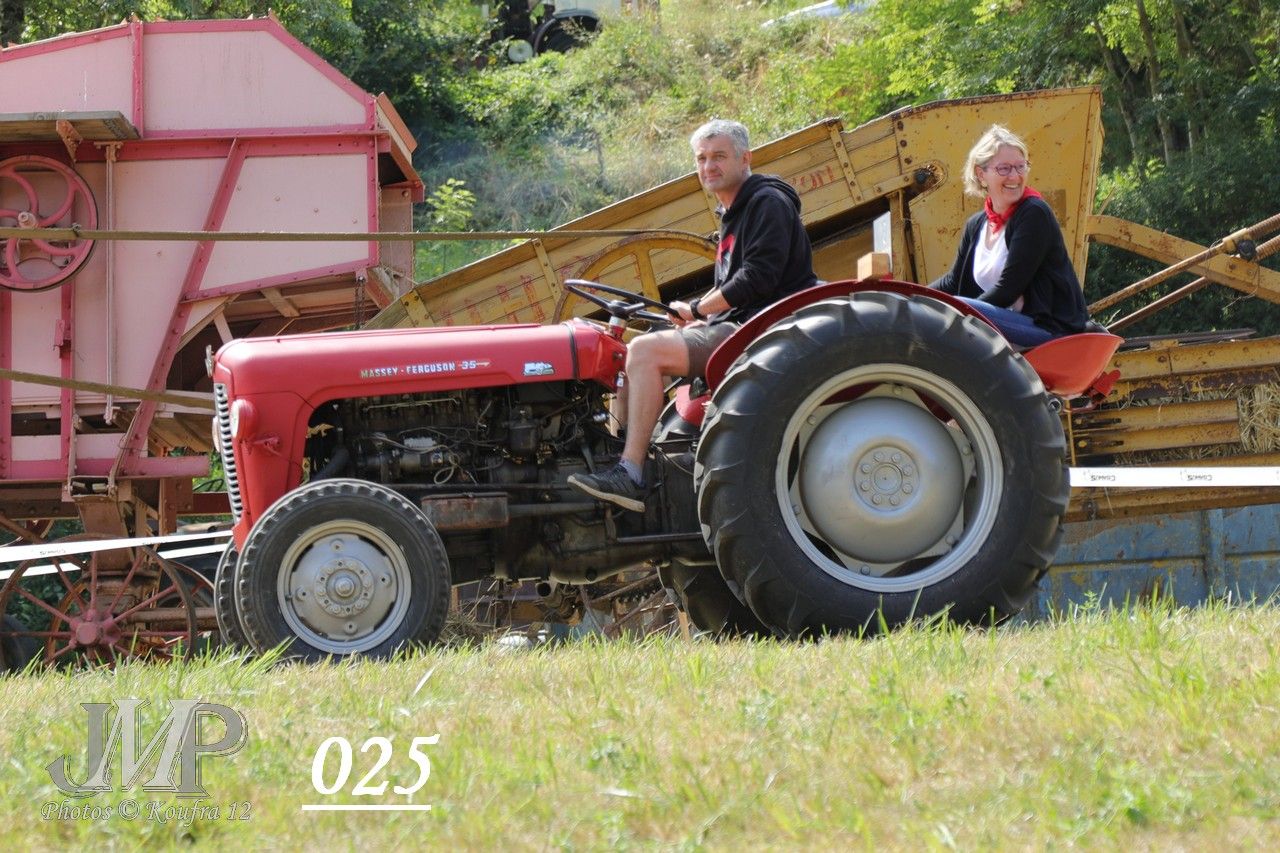 025 - Massey Ferguson : 35 - 37 CV - cm² - années 1960 – 1965