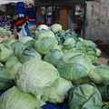 FRUITS ET LEGUMES SUR UN MARCHE D'ISTANBUL