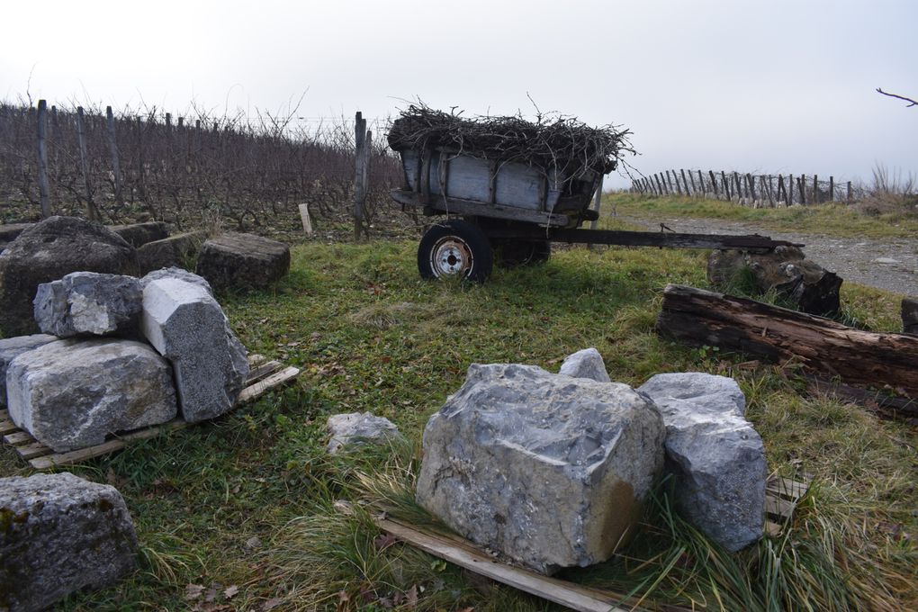 Balade dans les vignes de Chignin (73)