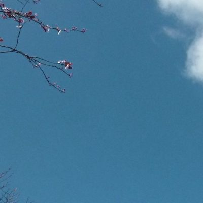 " Et si en plus, y'a personne...