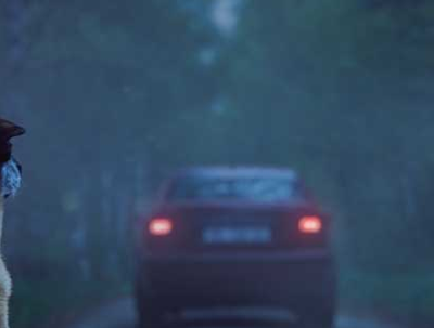 L'été étant proche il existe des solutions .... NON a l'abandon !