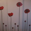 avec le froid,les coquelicots poussent.... sur