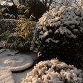 La neige... ou comment reprendre le fil du blog