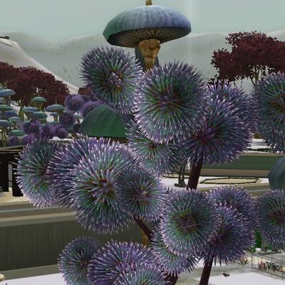 36 - L'amour au-delà de la mort !