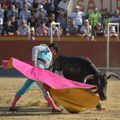 CARCASSONNE : reportage photos de Mickael FORTES