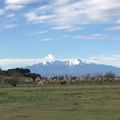 Canet en Roussillon (Pyrénées Orientales)