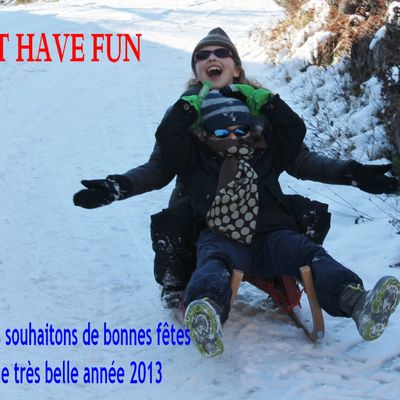 bonnes fetes de fin d'année!