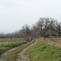 SUR LES HAUTEURS DU VILLAGE DES COTES D'AREY...