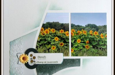 Tournesols 1