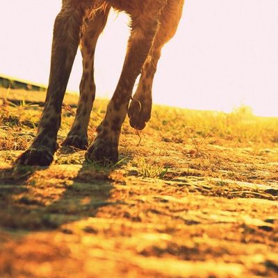 (...) "Rendre le monde meilleur. Apporter un peu