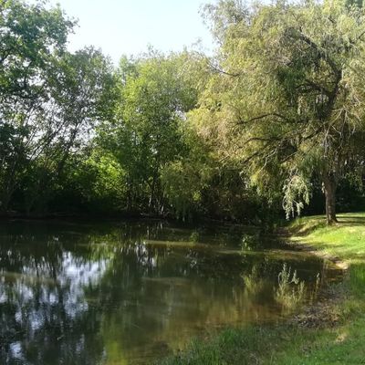 Retour sur la marche LONGUE en foret de Rosny sur Seine