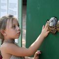 Parc des Tortues - Abbaye du Thoronet