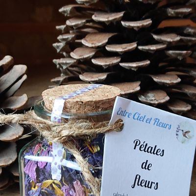 Pétales de fleurs