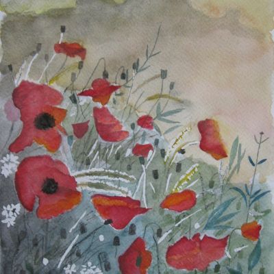 PREMIERS RAYONS SUR LES COQUELICOTS 