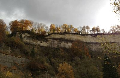 l'automne à Fribourg